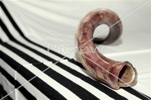 shofar