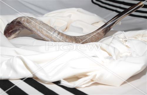 shofar