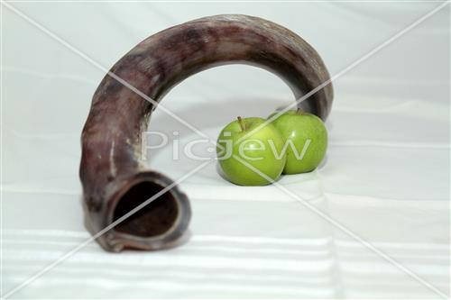 shofar