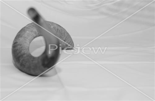 shofar