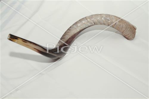 shofar