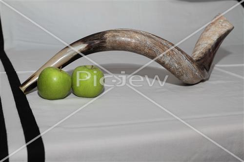 shofar