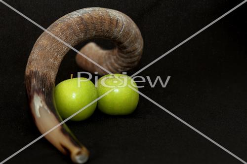 shofar