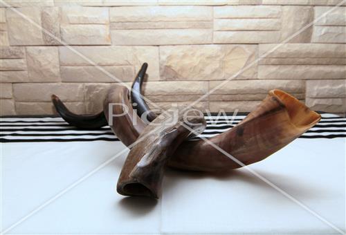 shofar