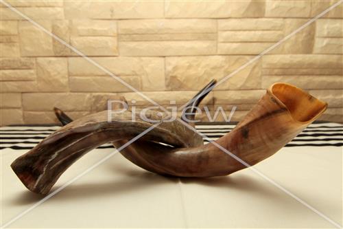 shofar