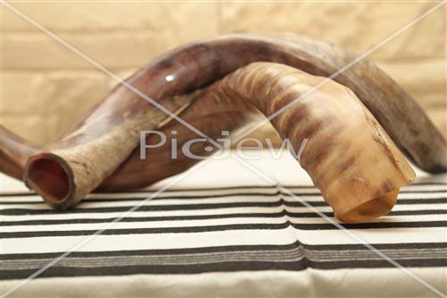 shofar