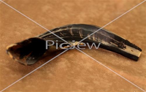 shofar