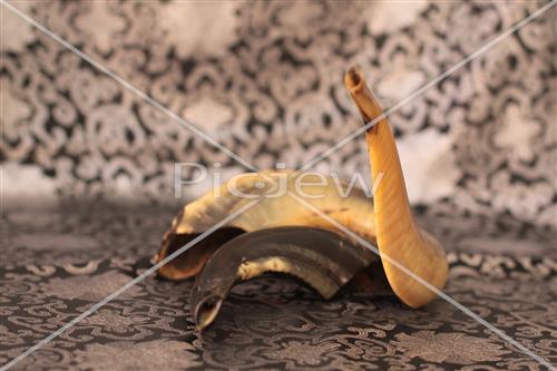 shofar