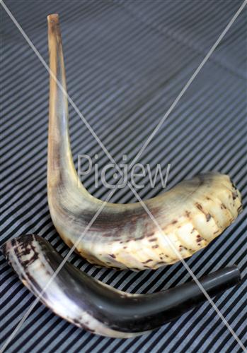 shofar