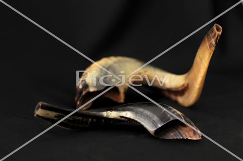 shofar