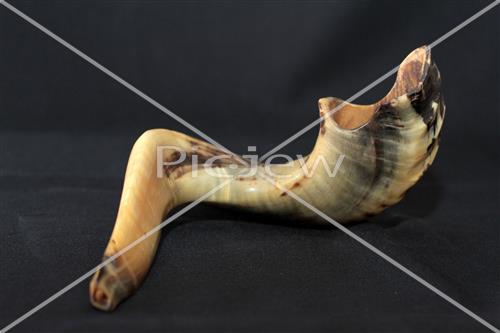 shofar