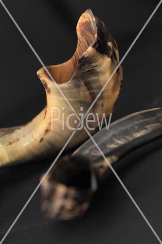 shofar