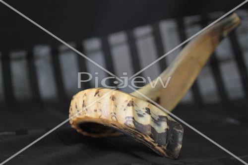 shofar