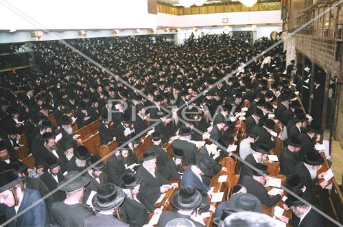 אמירת סליחות בויז'ניץ