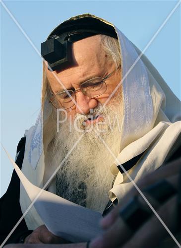 Rabbi Dov Yaffe