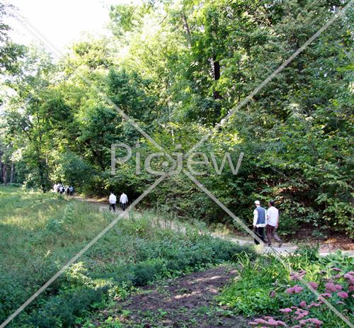 People in the forest