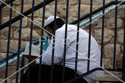 Jews pray