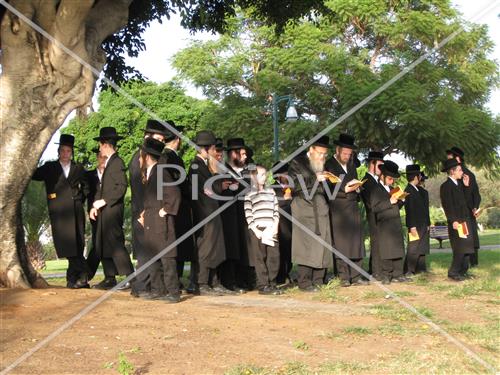 תשליך באוז'רוב