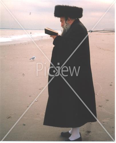 תשליך