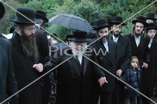 תשליך