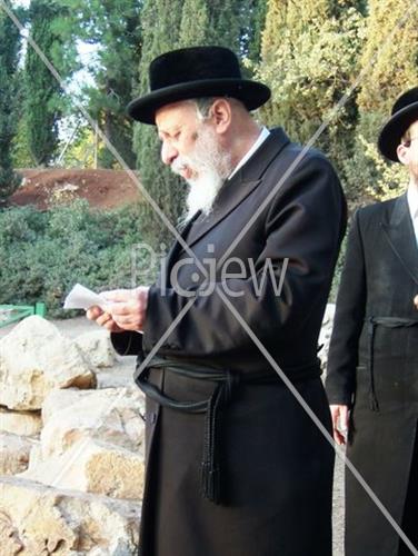 תשליך