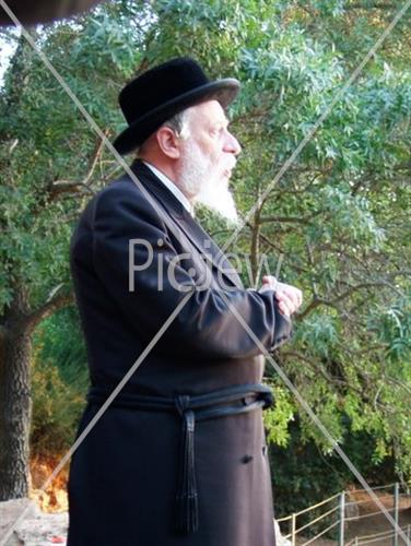 תשליך