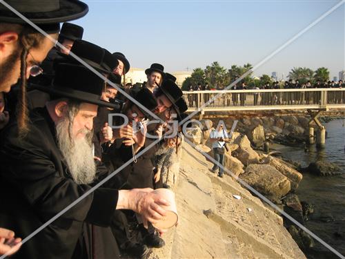 תשליך