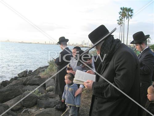 תשליך