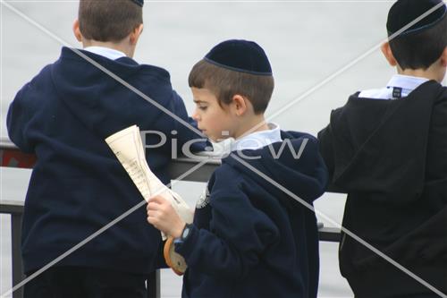 תשליך