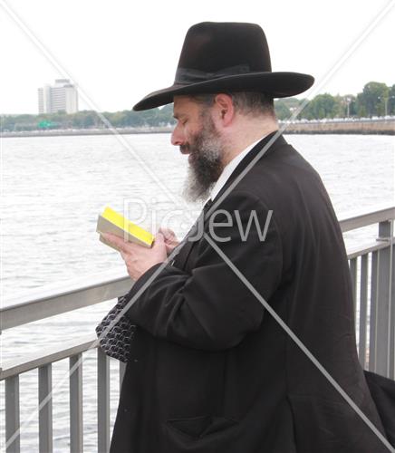תשליך
