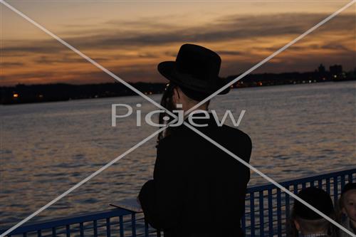 תשליך