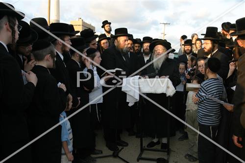 תשליך