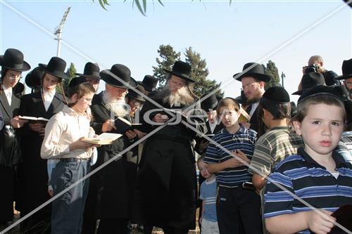 תשליך