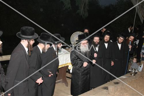 תשליך