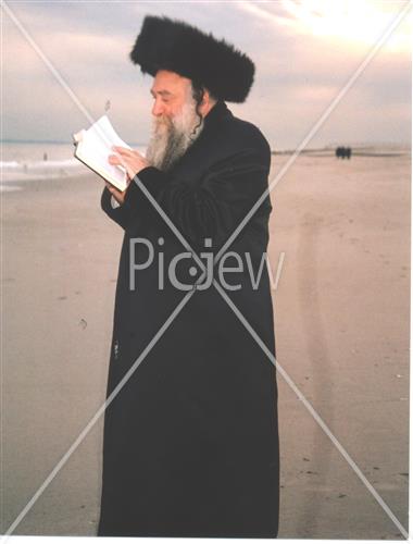 תשליך