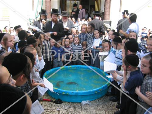 תשליך