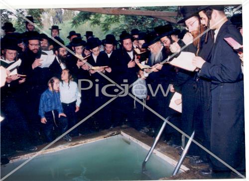 תשליך