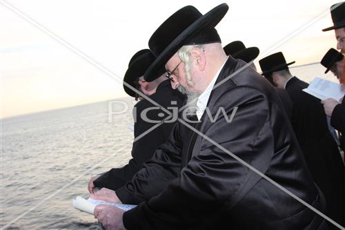 תשליך