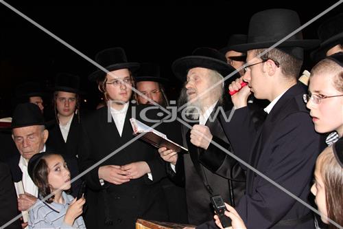 תשליך