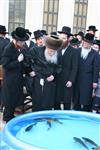 The Rebbe and Chassidim do Tashlich for the Day of Atonement