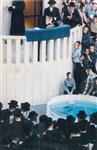 The Rebbe and Chassidim do Tashlich for the Day of Atonement