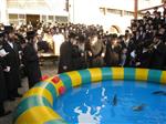 The Rebbe and Chassidim do Tashlich for the Day of Atonement
