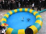 The Rebbe and Chassidim do Tashlich for the Day of Atonement