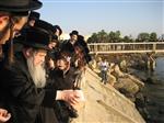 The Rebbe and Chassidim do Tashlich for the Day of Atonement