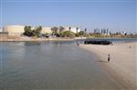 The Rebbe and Chassidim do Tashlich for the Day of Atonement