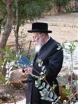 The Rebbe and Chassidim do Tashlich for the Day of Atonement