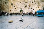 Prayer near the Kotel