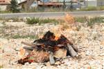 Jews burn leavened bread on Passover eve in the Upper Galilee town of Safed