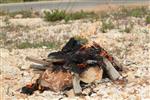 Jews burn leavened bread on Passover eve in the Upper Galilee town of Safed