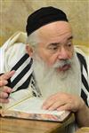יהודים לומדים תורה